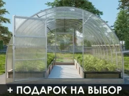 Теплица «УСИЛЕННАЯ», КРАБ-СИСТЕМА Теплица «УСИЛЕННАЯ», КРАБ-СИСТЕМА